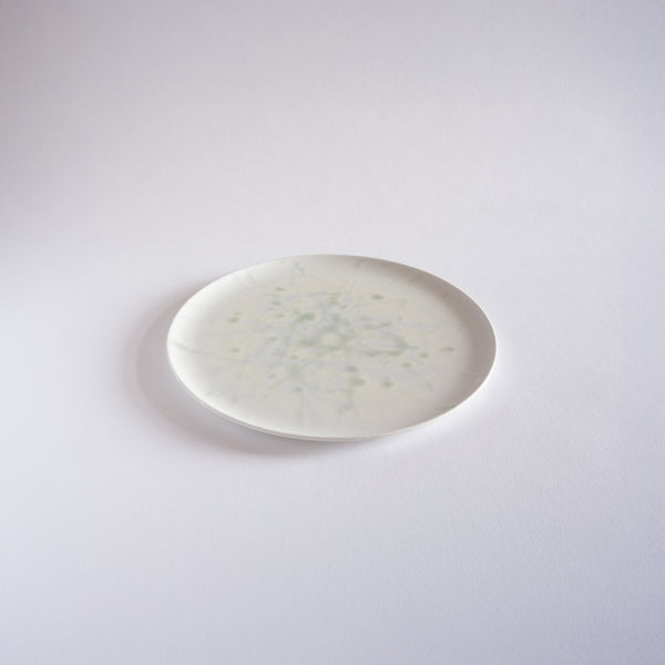 Trace of Light Platter Medium