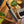 Rion's Knife